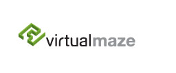 Virtual Maze Logo Design