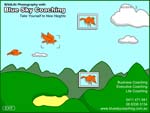 Wildlife Photography Game