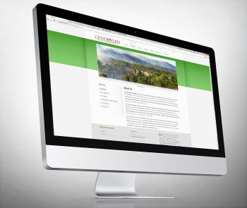 Centrogen, Responsive Web Design